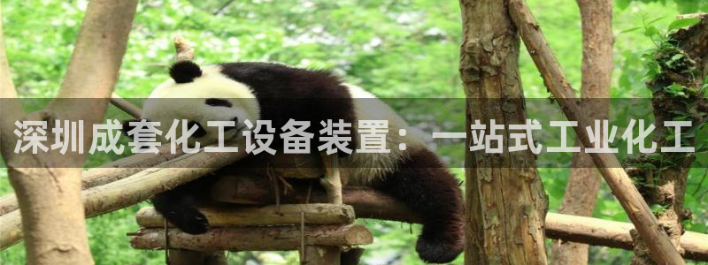 新航娱乐公司旗下艺人名单