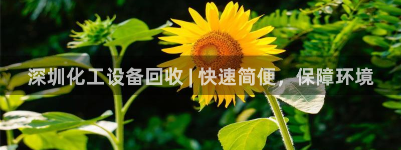 新航娱乐官网下载app