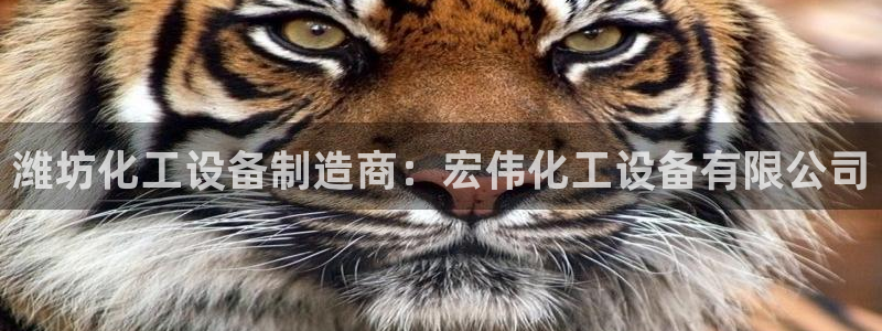 新航娱乐扣费是什么费用