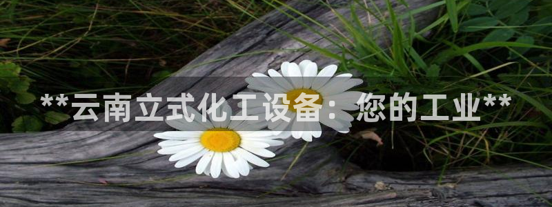 新航娱乐的创始人是谁呀