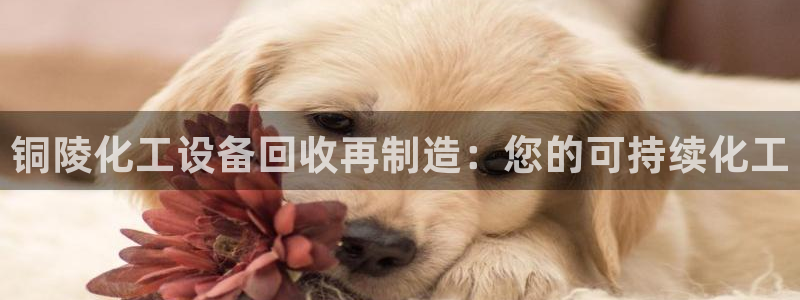 新航娱乐琏7.I.I.2最经典十首歌曲