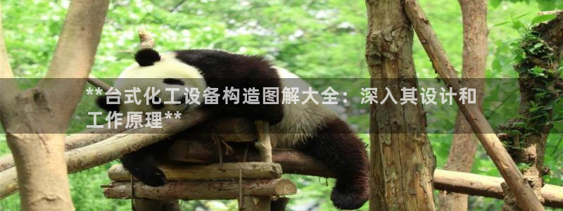 新航娱乐的创始人是谁啊