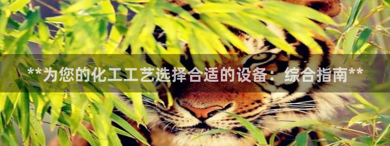 新航娱乐公司旗下艺人名单