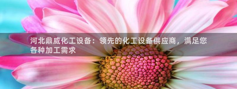 新航娱乐的员工工资福利及待遇
