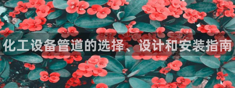 新航娱乐app的最新版本更新内容是什么