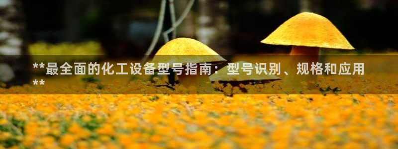 新航娱乐的员工工资福利及待遇如何：**最全面的化工