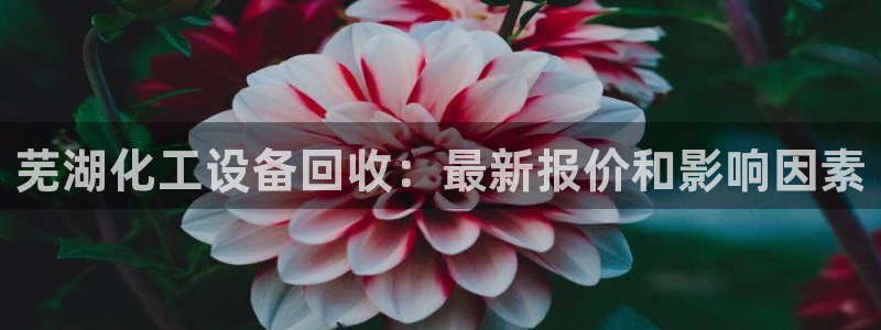 新航娱乐公司旗下艺人名单