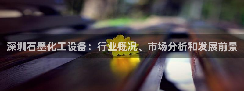 新航娱乐的创始人背景：深圳石墨化工设备：行业概况、市场分析和