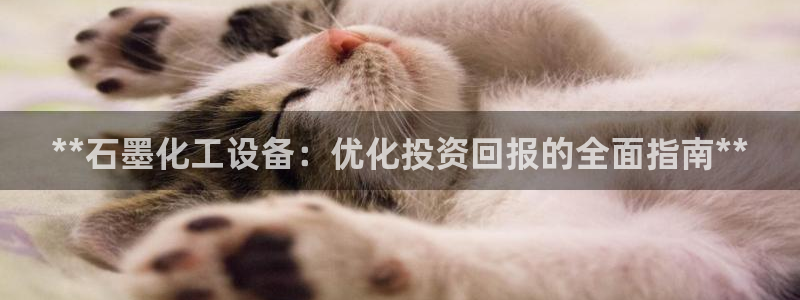 新航娱乐的创始人是谁啊：**石墨化工设备：优化投资回报的全面