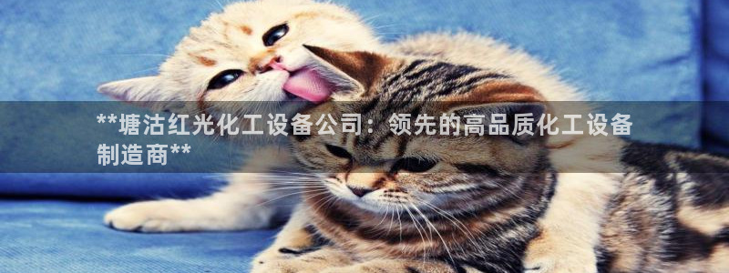 新航娱乐的员工工资福利及待遇如何
