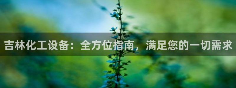 新航娱乐总代理是谁