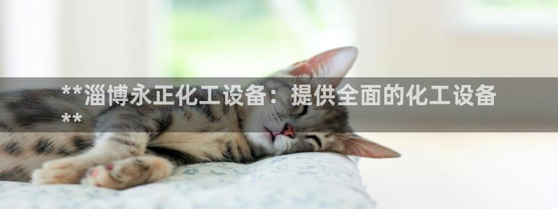 新航娱乐的背景和历史背景介绍