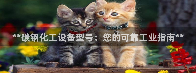 新航娱乐app的最新版本更新内容是什么