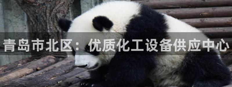 新航娱乐的员工工资福利及待遇怎么样