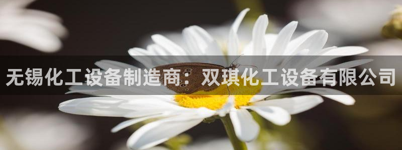 新航娱乐公司扣费流程详解图片