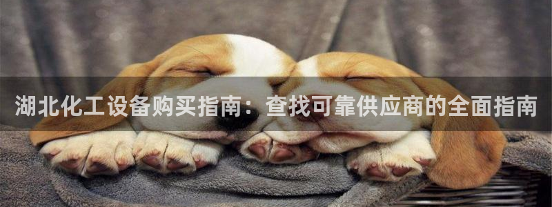 新航娱乐公司旗下艺人名单