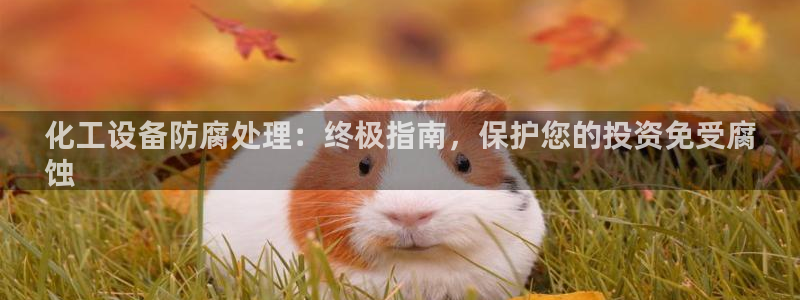 新航娱乐公司扣费流程详解表图片