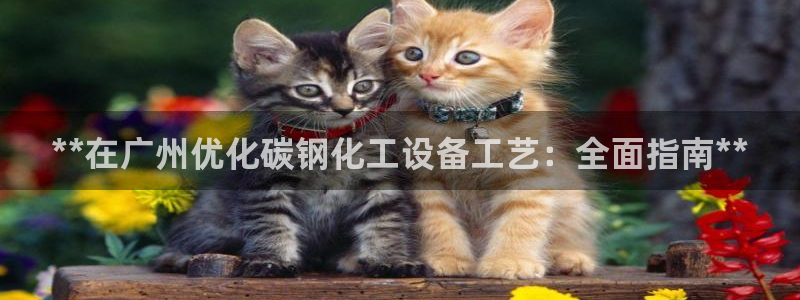 新航娱乐扣款怎么退款申请