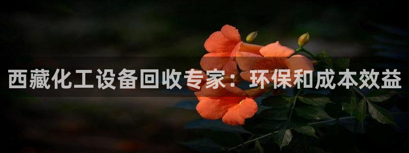 新航娱乐扣款后还能重新扣吗