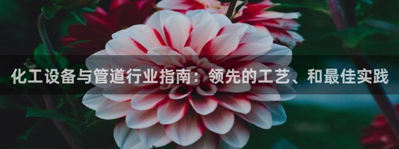 新航娱乐的创始人是谁