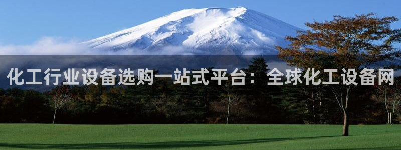 新航娱乐公司简介和历史背景分析