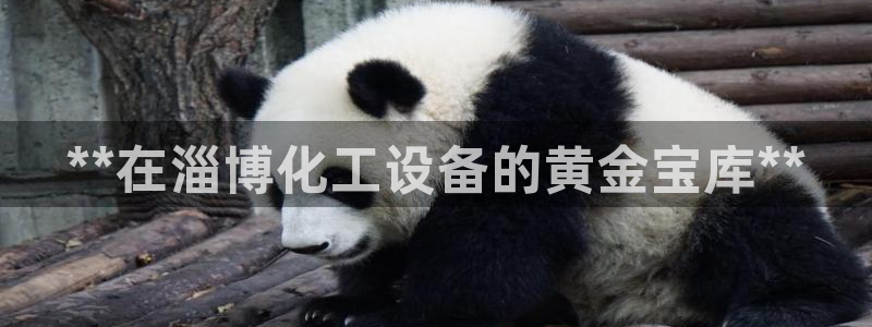 新航娱乐招商碰回复 485624 多少钱