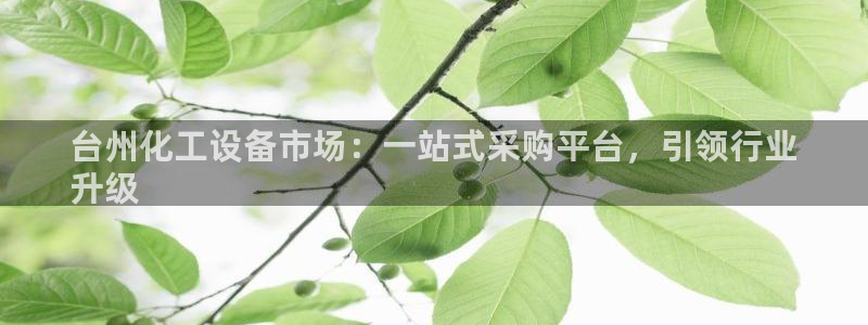 新航娱乐公司扣费流程详解