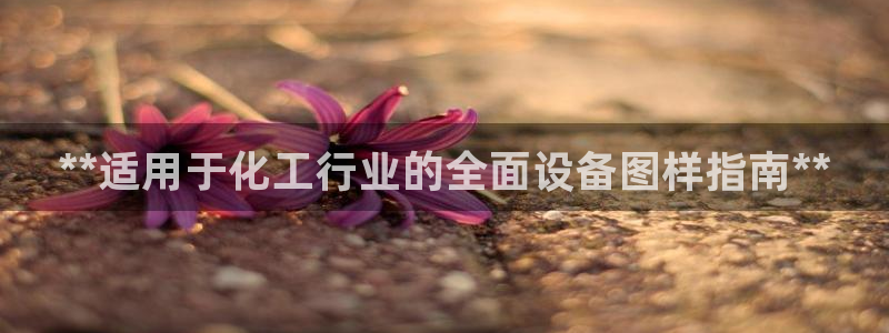 新航娱乐公司扣费流程详解表