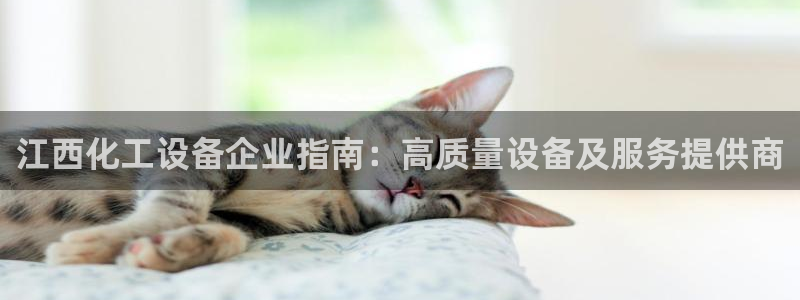 新航娱乐的会员权益与保障