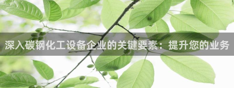 新航娱乐扣款后还能重新扣费吗：深入碳钢化工设备企业