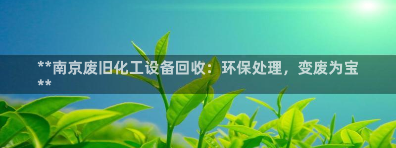 新航娱乐的股东名单和背景介绍是什么