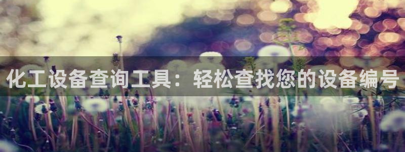 新航娱乐元哥：化工设备查询工具：轻松查找您的设备编