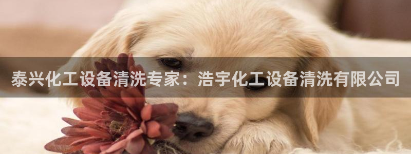 新航娱乐扣费是什么费用啊怎么退