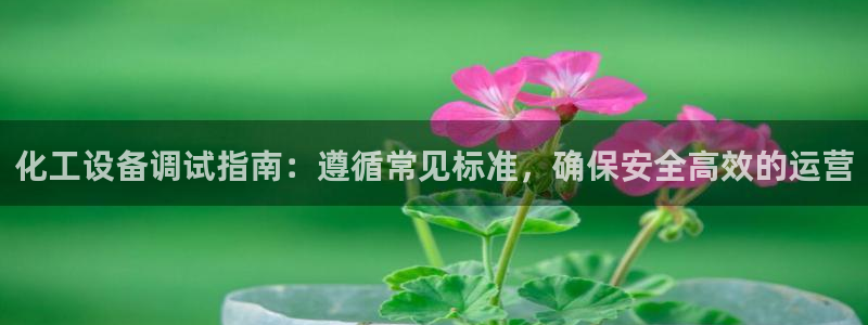 新航娱乐的创始人是谁呀