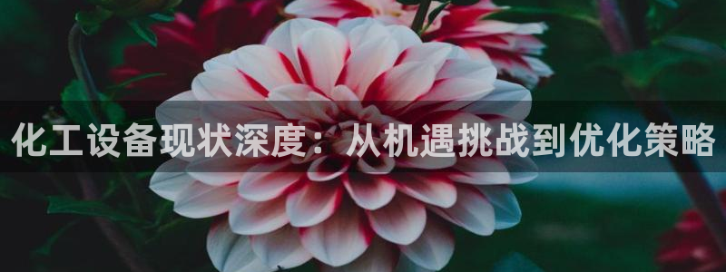 新航娱乐扣款后还能重新扣吗现在：化工设备现状深度：