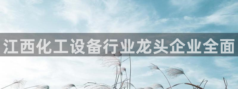 新航娱乐公司旗下艺人都有谁：江西化工设备行业龙头企业全面