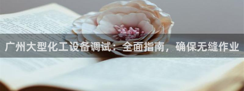 新航娱乐背后的老板是谁：广州大型化工设备调试：全面指南，确保