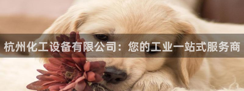 新航娱乐app手机版官网下载安装