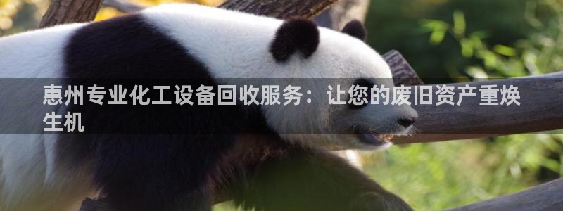 新航娱乐的创始人背景是谁