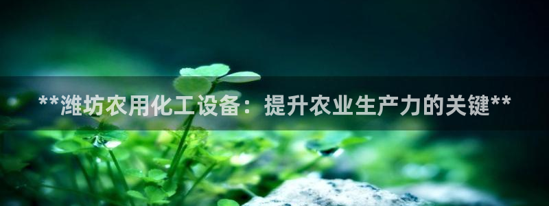 新航娱乐的创始人简介