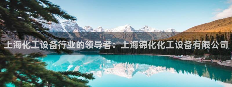 新航娱乐注册平台注册的步骤和注意事项