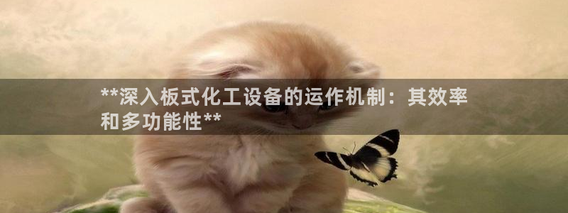 新航娱乐的创始人简介资料