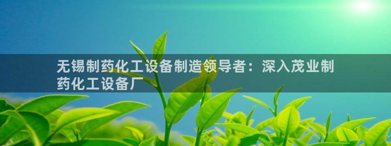 新航娱乐平台用户评价及反馈