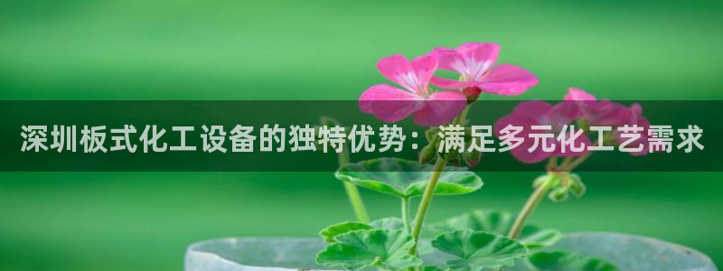 新航娱乐app官方免费下载安装