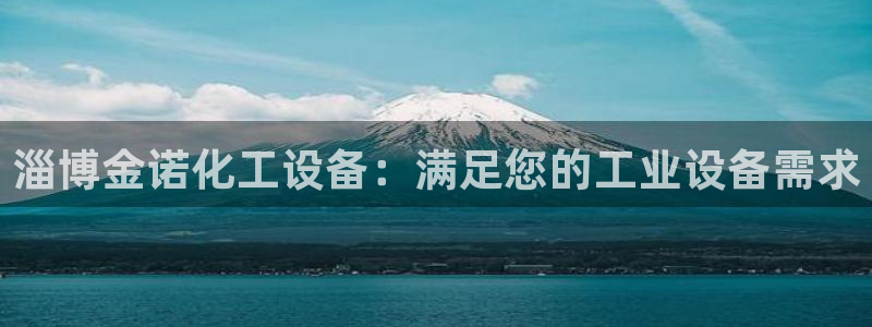 新航娱乐app手机版特色功能介绍：淄博金诺化工设备