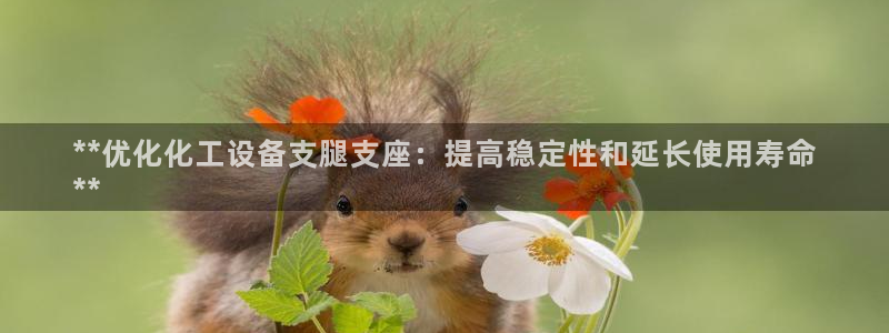 新航娱乐安卓版下载