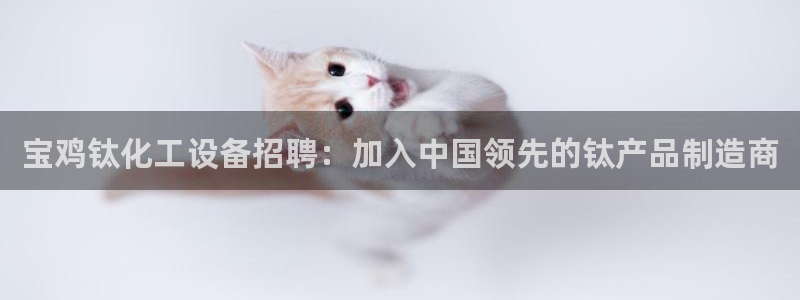 新航娱乐公司旗下艺人有哪些