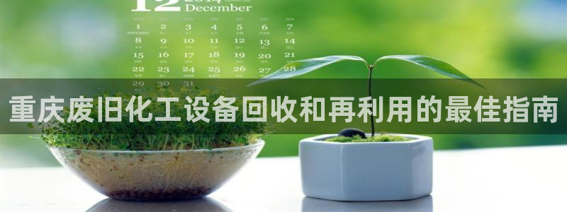 新航娱乐app最新版本更新内容是什么