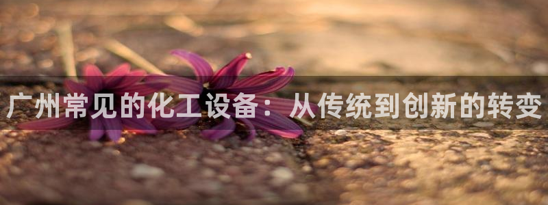 新航娱乐公司扣费流程详解