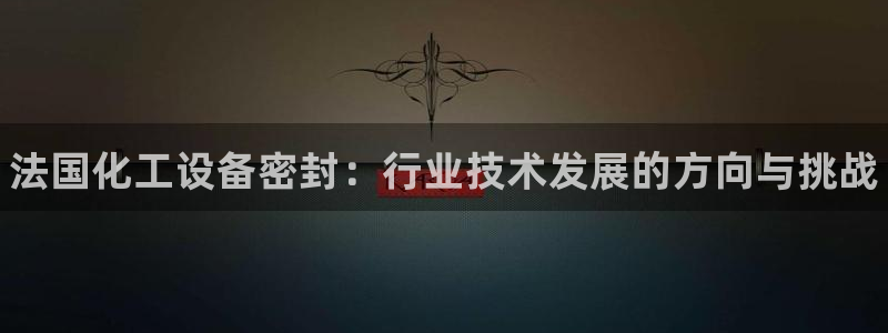 新航娱乐app手机版官网：法国化工设备密封：行业技术发展的方